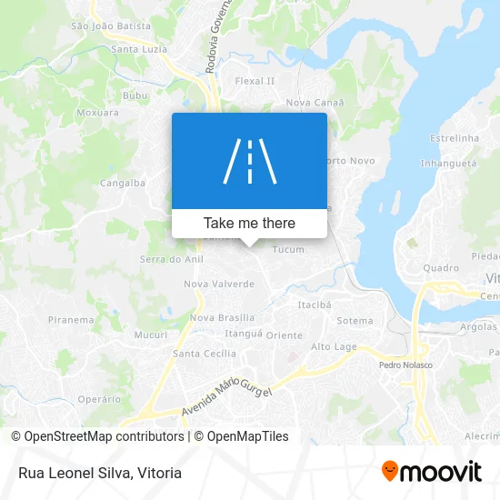 Rua Leonel Silva map