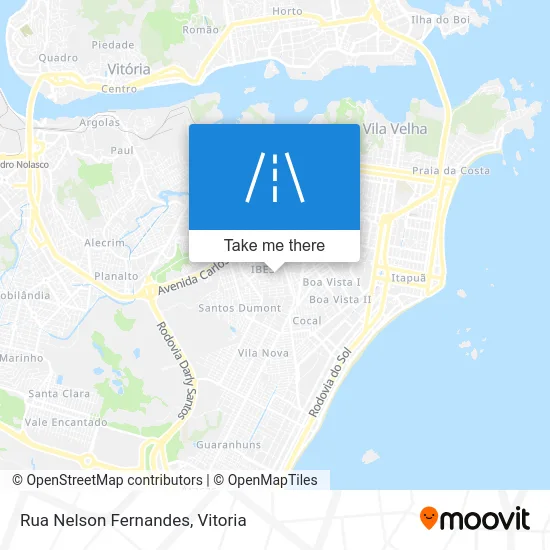 Rua Nelson Fernandes map