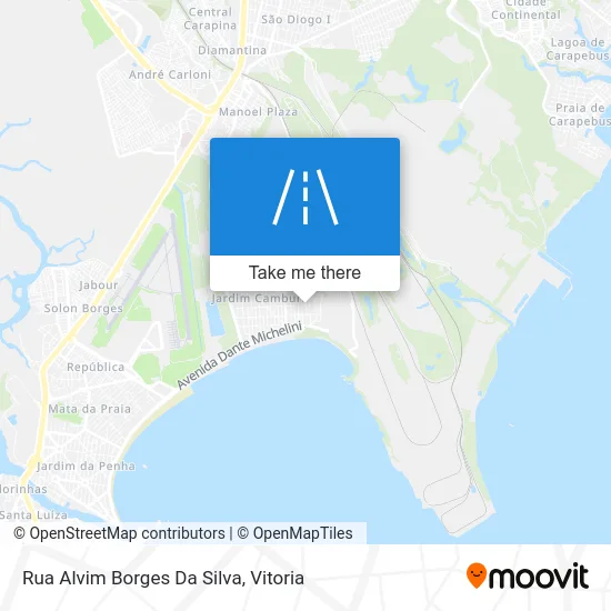 Rua Alvim Borges Da Silva map