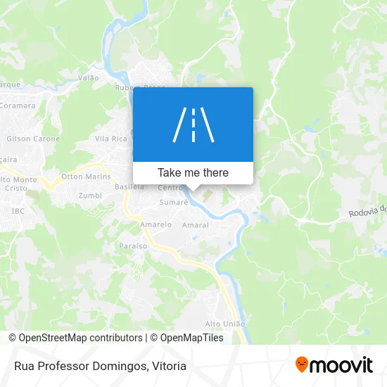 Rua Professor Domingos map
