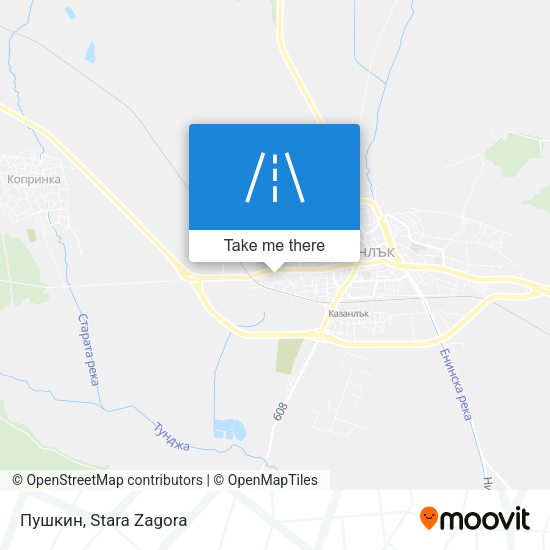 Пушкин map