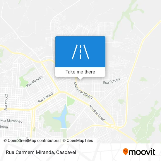 Rua Carmem Miranda map
