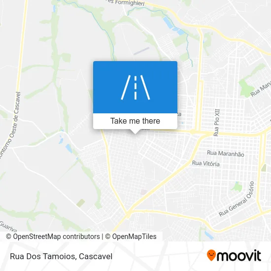 Rua Dos Tamoios map