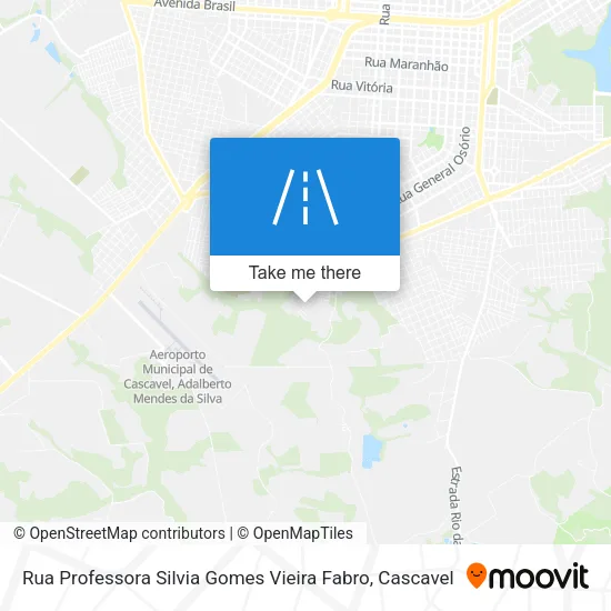 Rua Professora Silvia Gomes Vieira Fabro map