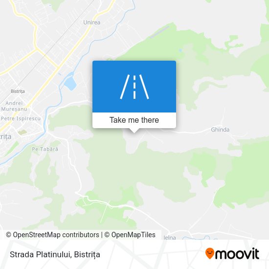 Strada Platinului map