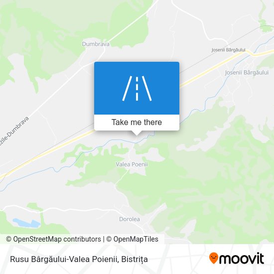 Rusu Bârgăului-Valea Poienii map