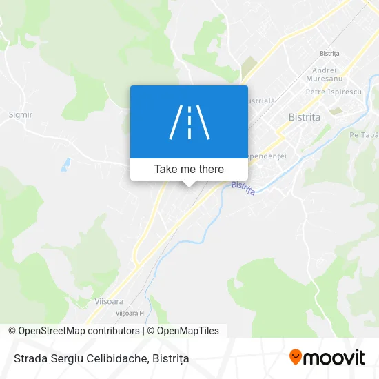 Strada Sergiu Celibidache map