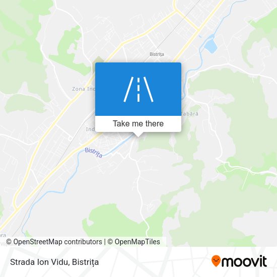 Strada Ion Vidu map