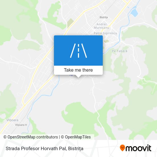 Strada Profesor Horvath Pal map