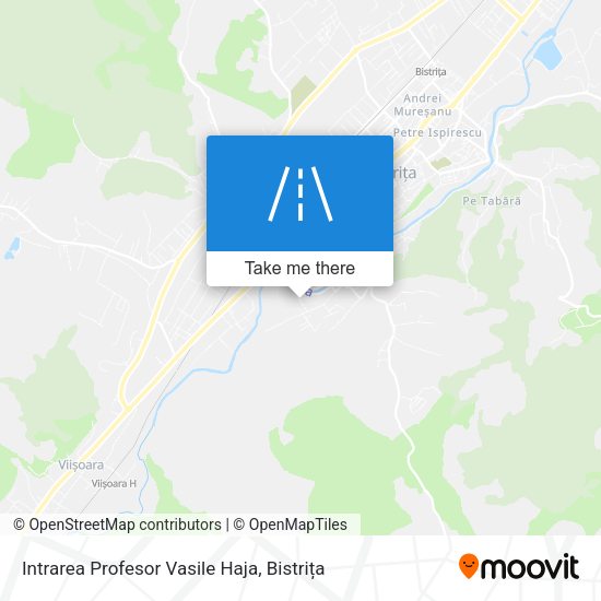 Intrarea Profesor Vasile Haja map