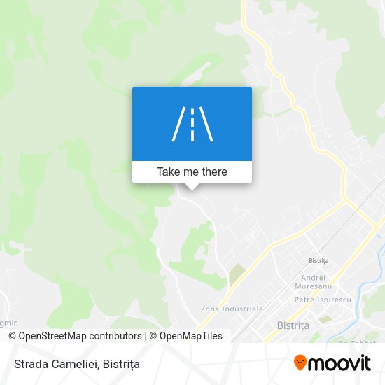 Strada Cameliei map