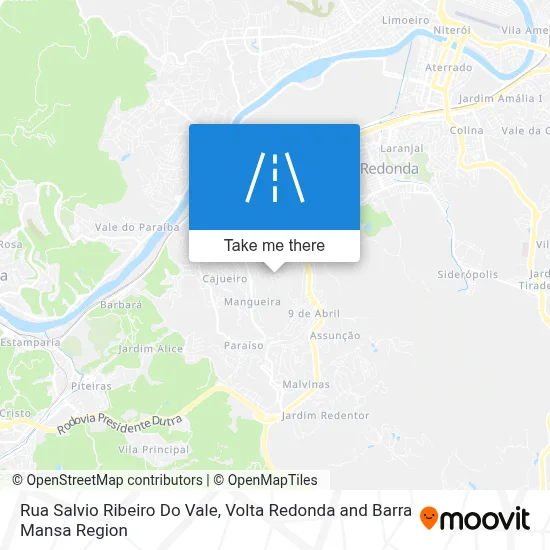 Rua Salvio Ribeiro Do Vale map