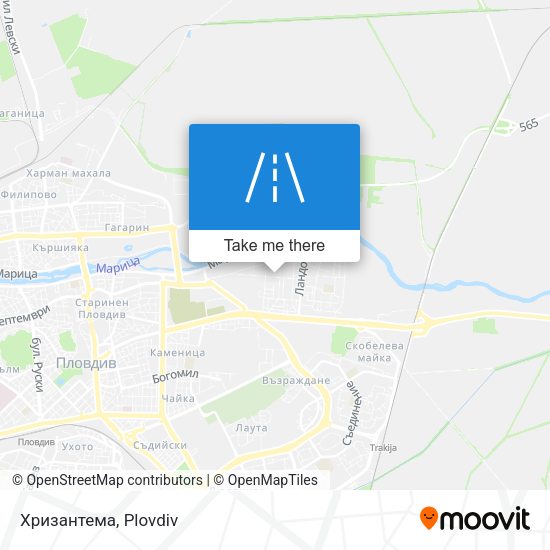 Карта Хризантема