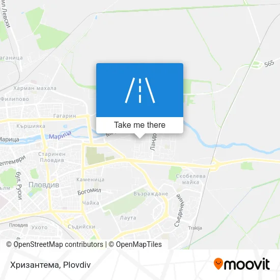 Карта Хризантема