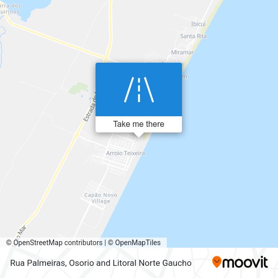 Rua Palmeiras map