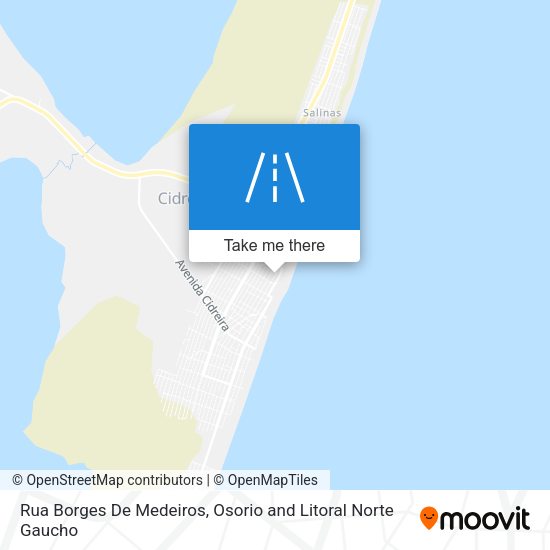 Rua Borges De Medeiros map