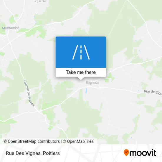 Rue Des Vignes map