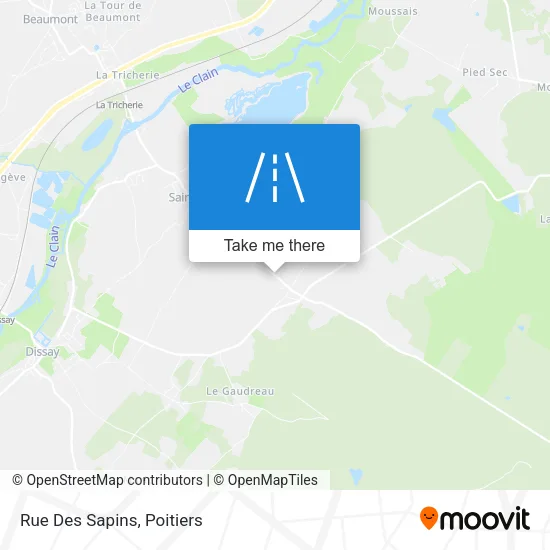 Rue Des Sapins map