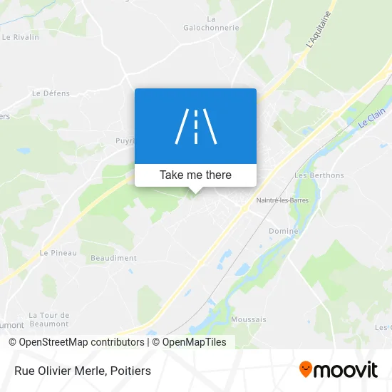 Rue Olivier Merle map