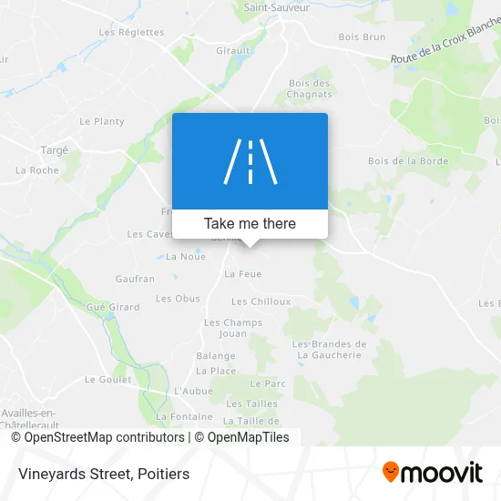 Rue Des Vignes map