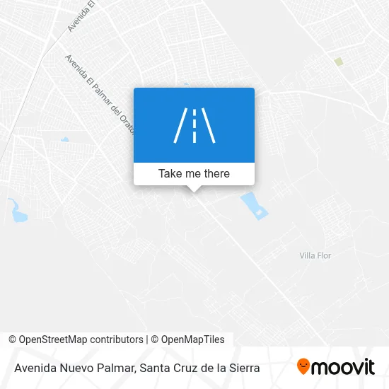 Avenida Nuevo Palmar map