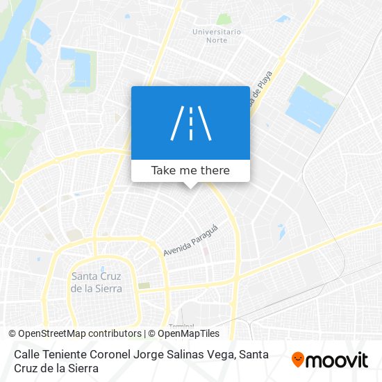 Mapa de Calle Teniente Coronel Jorge Salinas Vega