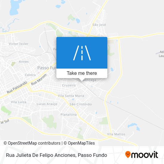 Rua Julieta De Felipo Anciones map