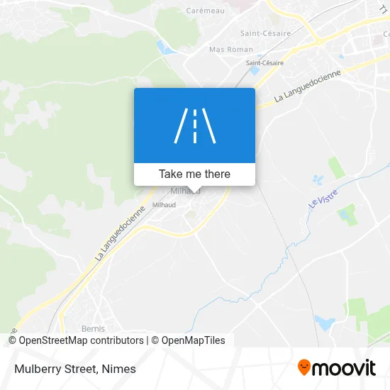 Rue Des Mûriers map