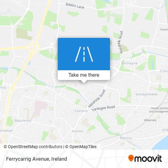 Ferrycarrig Avenue map