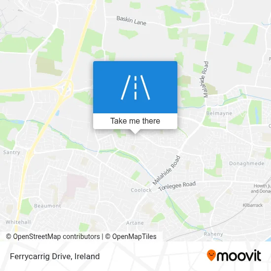 Ferrycarrig Drive map