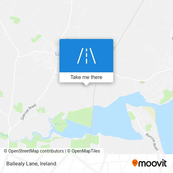 Ballealy Lane map