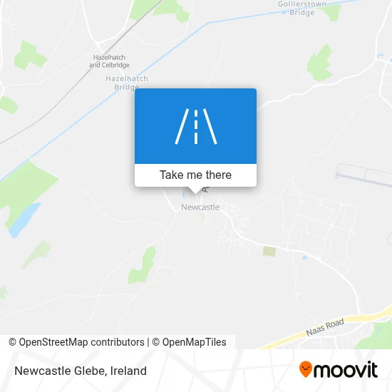 Newcastle Glebe map