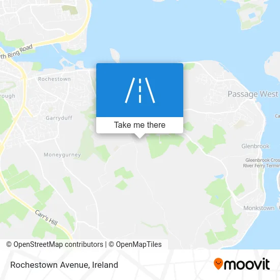 Rochestown Avenue map