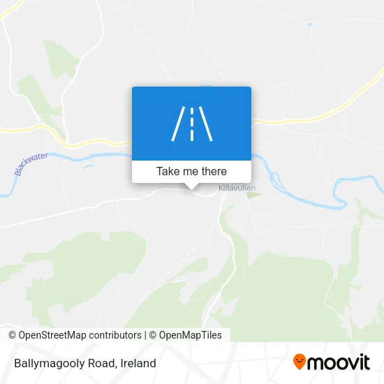 Ballymagooly Road map