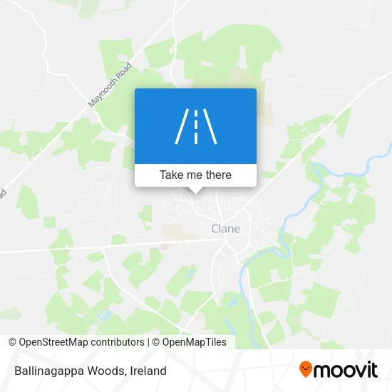 Ballinagappa Woods map