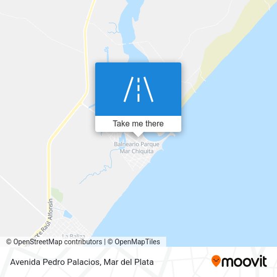 Mapa de Avenida Pedro Palacios
