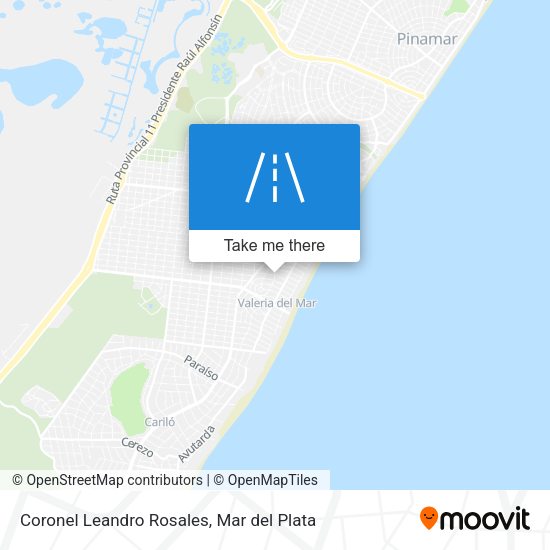 Mapa de Coronel Leandro Rosales