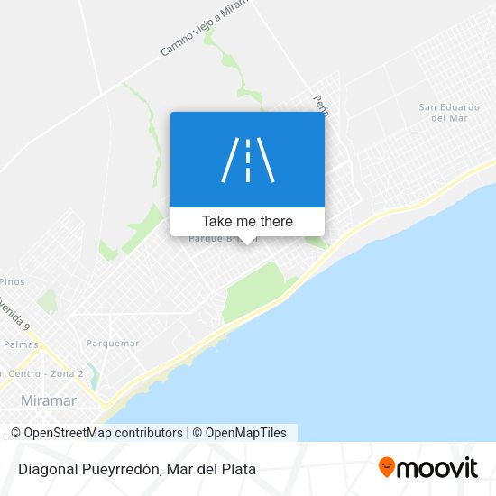 Diagonal Pueyrredón map
