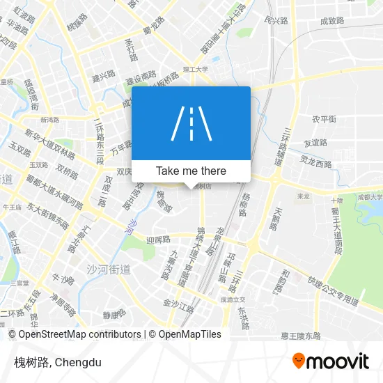 槐树路 map