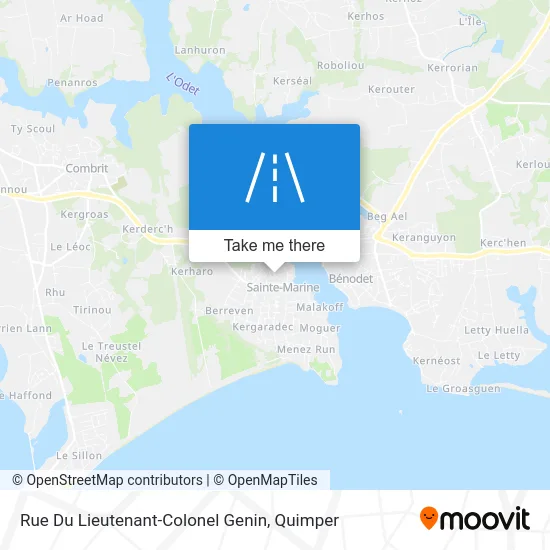 Rue Du Lieutenant-Colonel Genin map