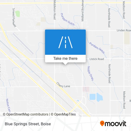 Mapa de Blue Springs Street