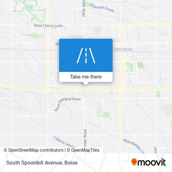 South Spoonbill Avenue map