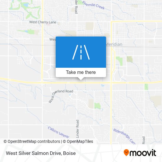 West Silver Salmon Drive map