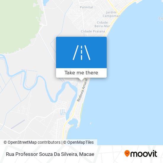 Rua Professor Souza Da Silveira map