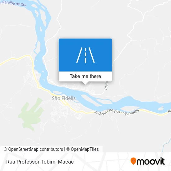 Rua Professor Tobim map