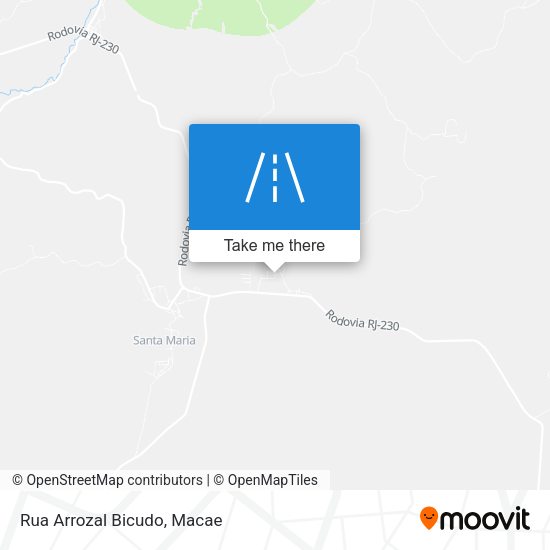 Rua Arrozal Bicudo map