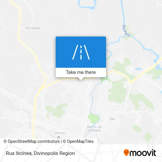 Rua Ilicínea map