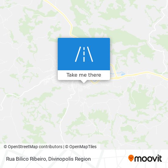 Rua Bilico Ribeiro map