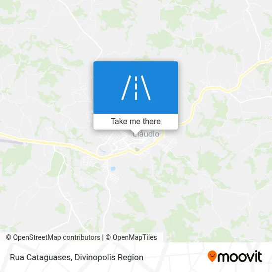 Rua Cataguases map