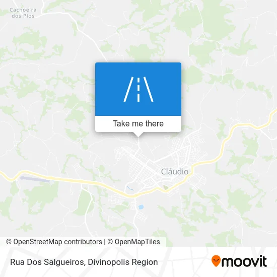Rua Dos Salgueiros map